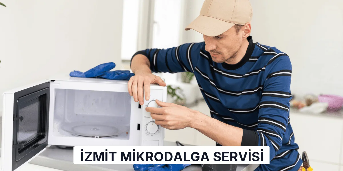 İzmit Mikrodalga Servisi